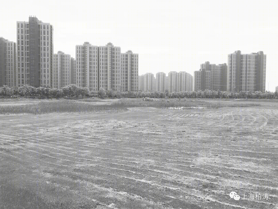 南京江心洲·璞境示范区丨中国南京丨PTA上海柏涛-14