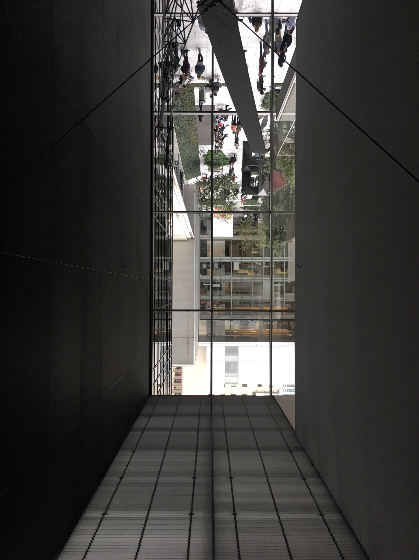 Walk-8