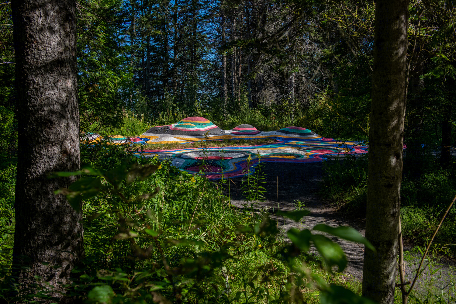 远距协作的未来展现 | 加拿大增强地面装置-19