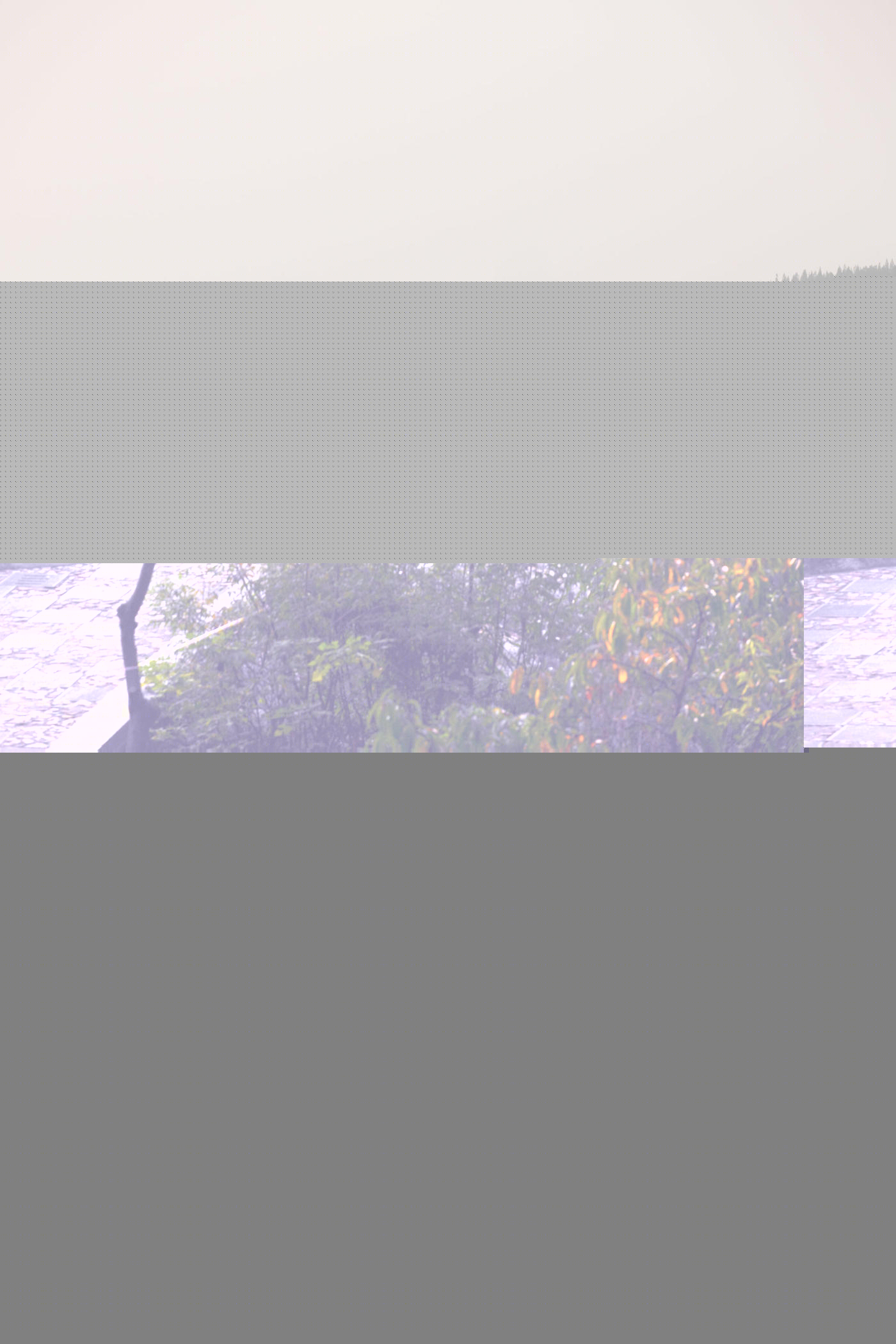 河南嵩山少林飞僧剧场-10