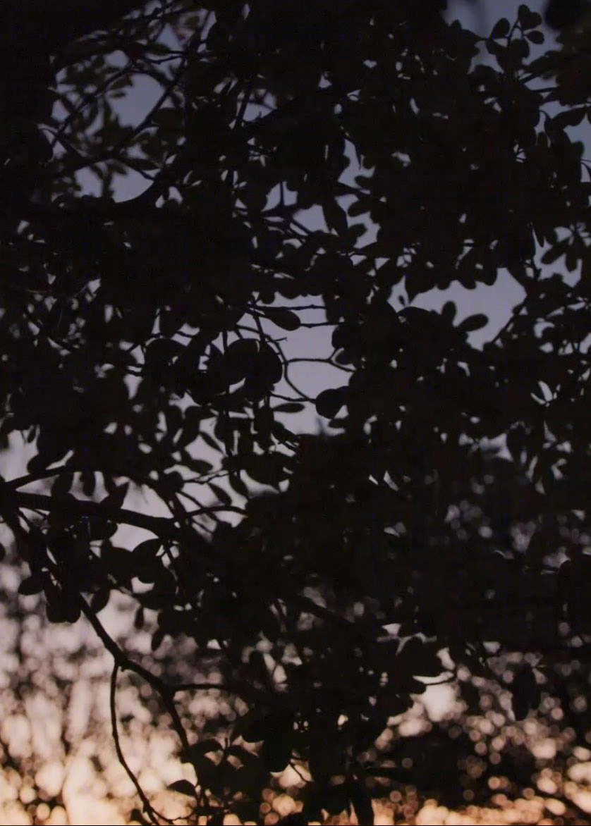 风筝微风-21