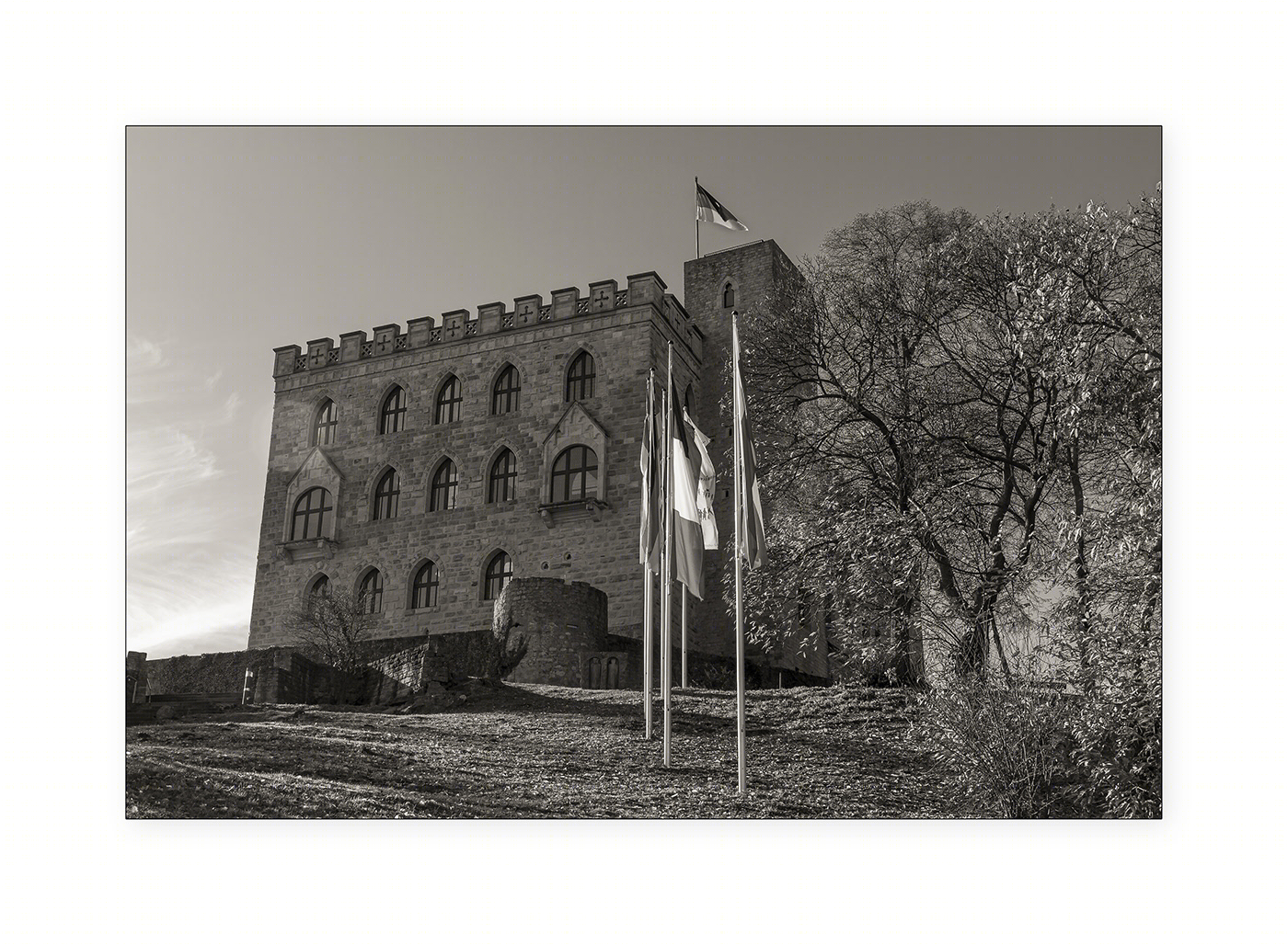 Das Hambacher Schloss-5