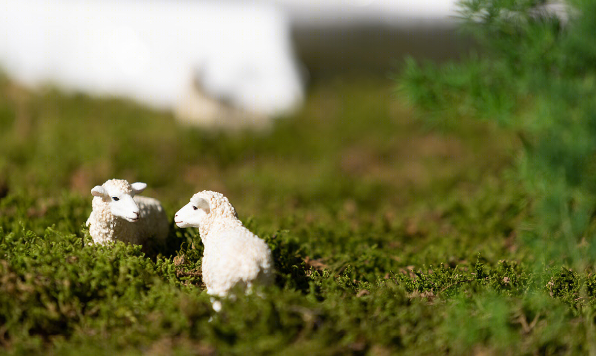 绿梦 · 微缩景观中的城市生态愿景丨中国上海丨HLA天华景观-63