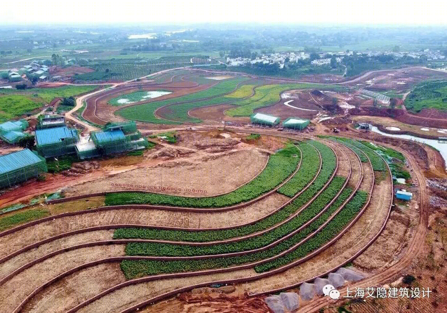 成都中国橘乡野奢民宿丨中国成都丨上海艾隐规划建筑设计咨询有限公司-61