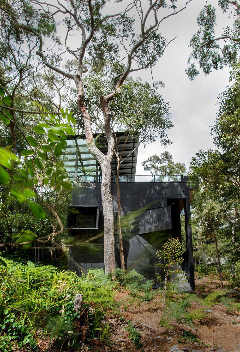 澳大利亚森林住宅-8
