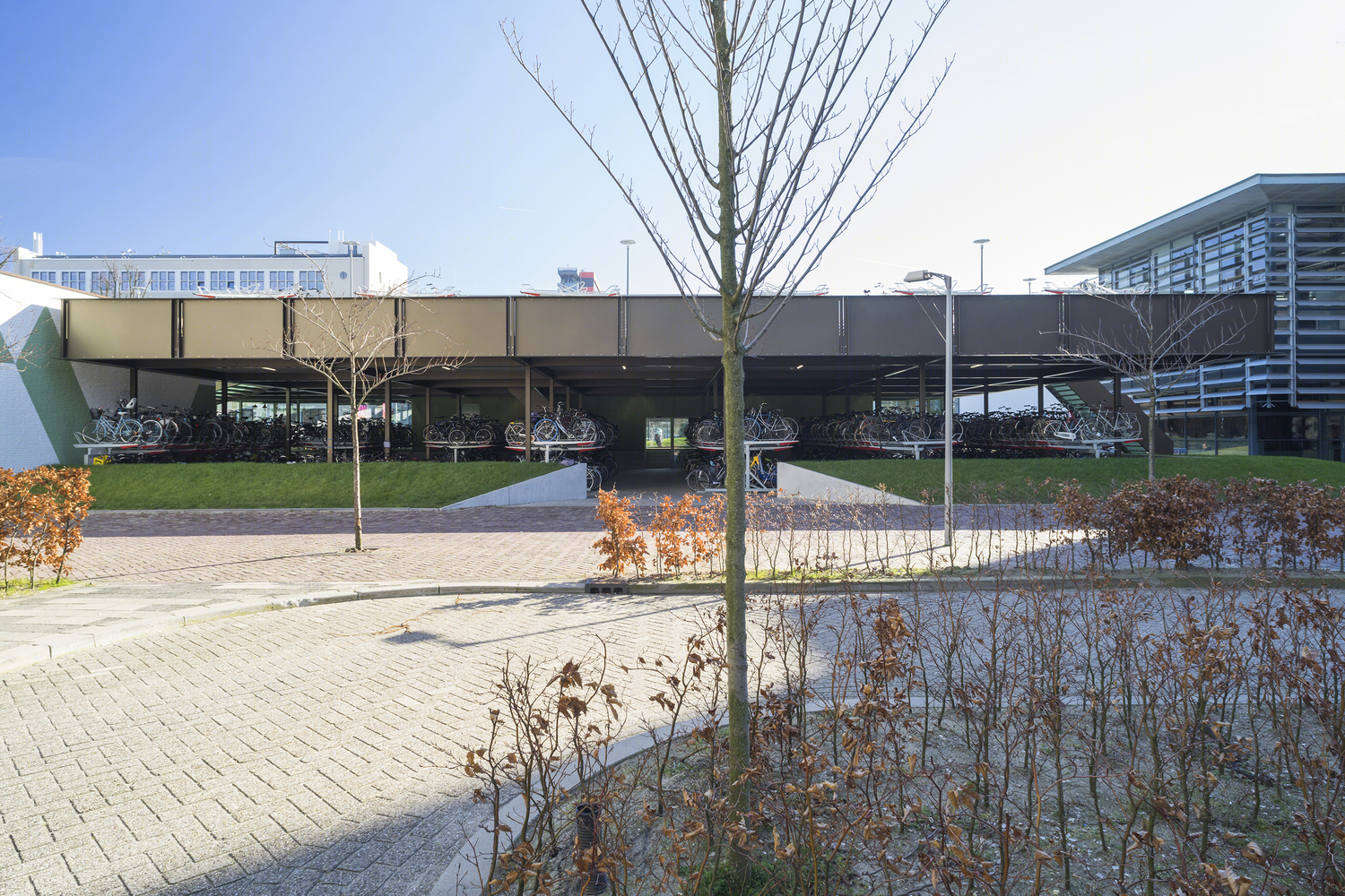 荷兰与自行车停车场结合的大学咖啡厅-9
