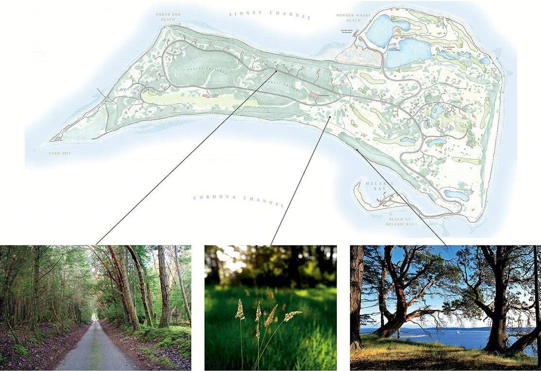 James 岛生态修复 | 废弃岛屿的重生之路-39