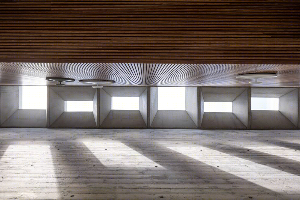 隐秘避风港 · 以色列双胞胎兄弟之家丨Pitsou Kedem Architects-9