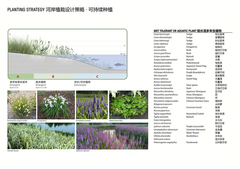 古鳌头滨水景观丨中国温州-26