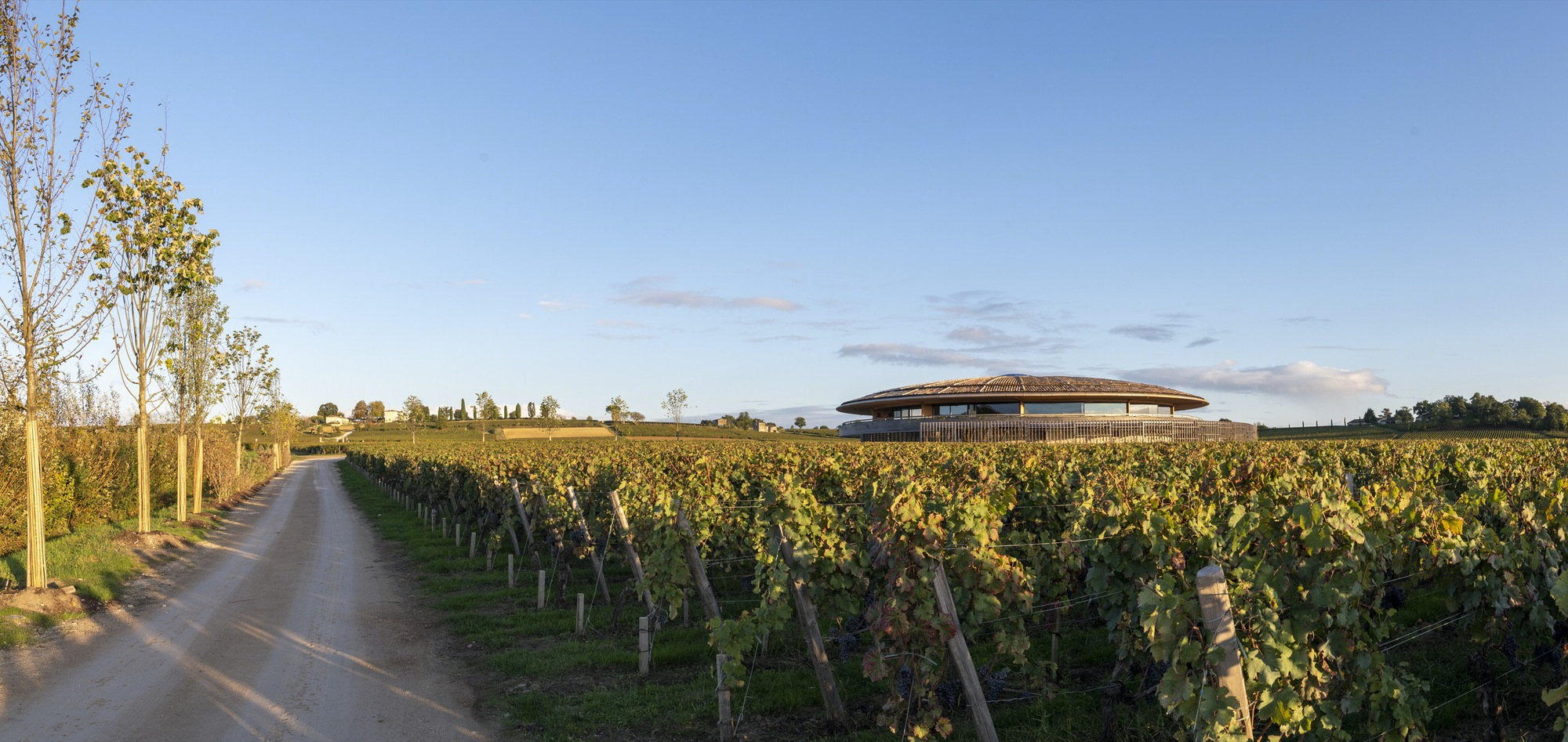 Le Dome 酒庄丨法国丨Foster + Partners-24