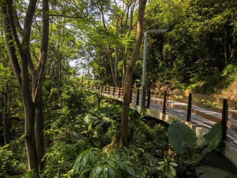 深圳光明小镇三桥与绿道景观-3