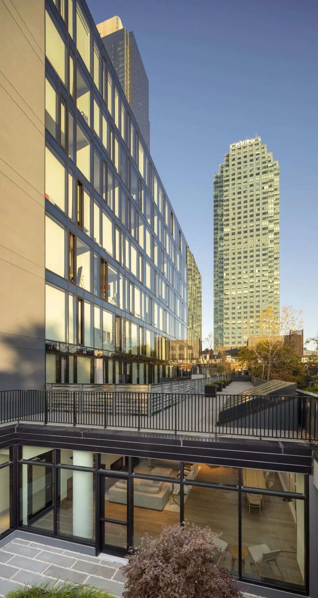 Corte 全玻璃幕墙多层办公建筑丨美国纽约丨Beyer Blinder Belle,Dieguez Fridman-29