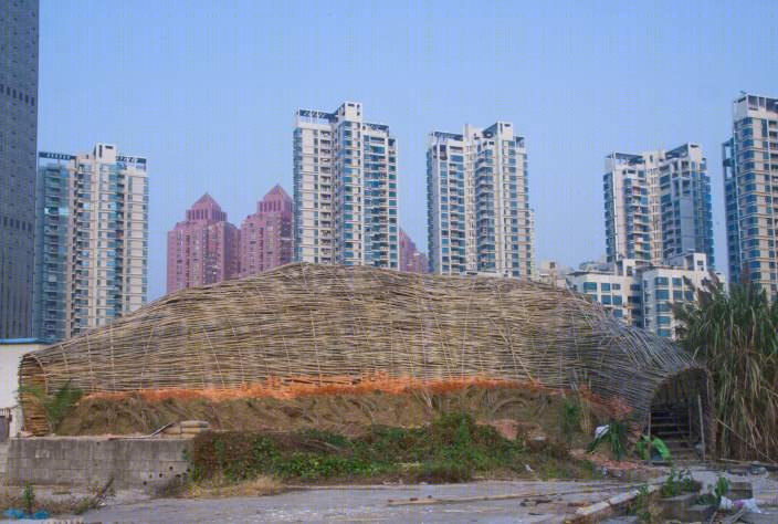 深圳昆虫的竹子景观-7