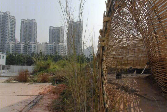深圳昆虫的竹子景观-8