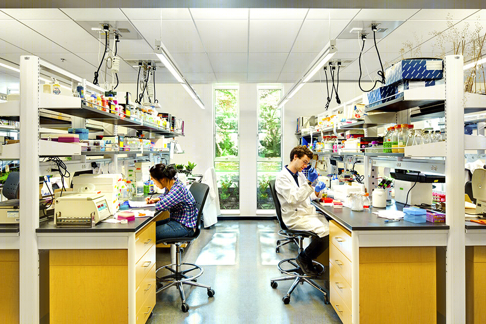 哥伦比亚大学生物科学综合楼 | 绿色更新与高效设计-19