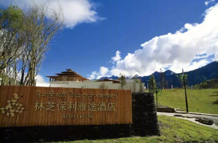 林芝鲁朗度假酒店景观-15