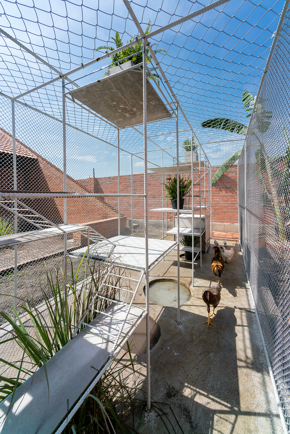 Tropical Space,鸡舍-10