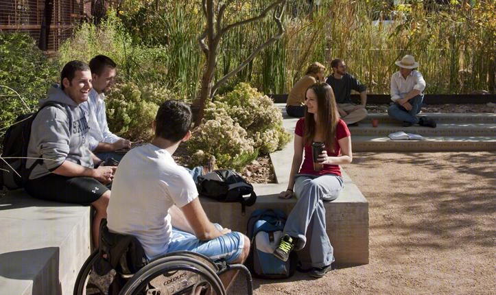 美国 Arizona 大学停车场变绿洲,设计师打造沙漠中的生态景观-13