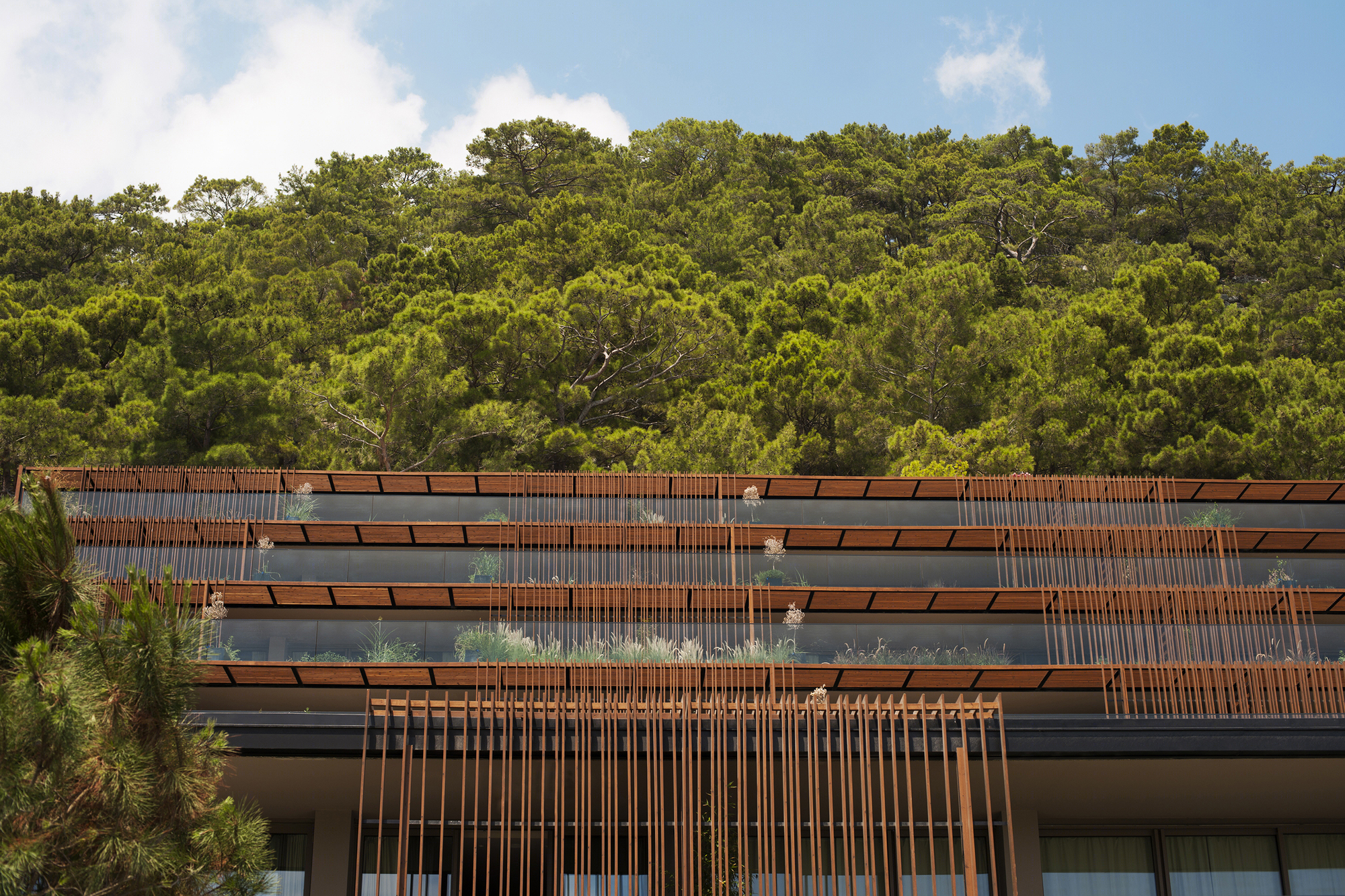 土耳其凯梅尔日光皇家酒店丨Baraka Architects-21