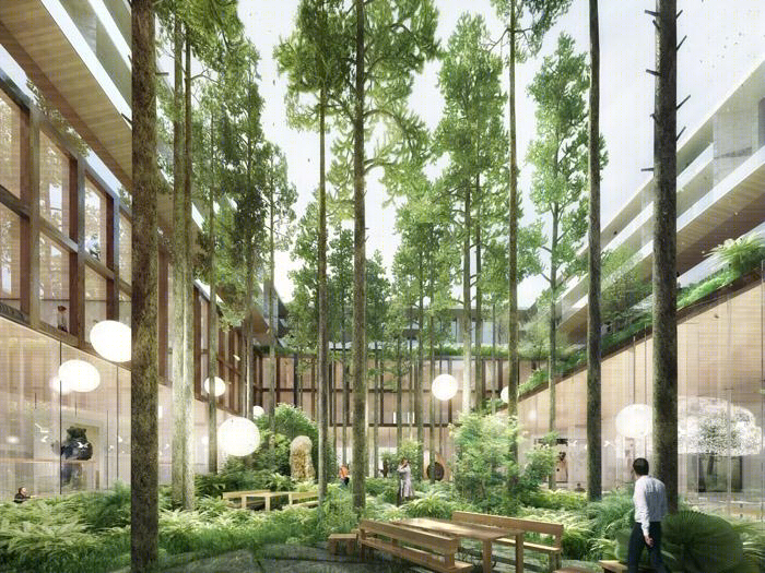 法国 EDF 校园,自然与建筑的和谐交融-17