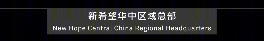 武汉新地标综合体 · 高山流水•希望之音丨中国武汉丨Aedas与上海帝奥建筑设计有限公司联合体-66