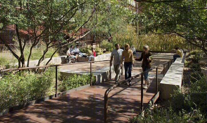 美国 Arizona 大学停车场变绿洲,设计师打造沙漠中的生态景观-15
