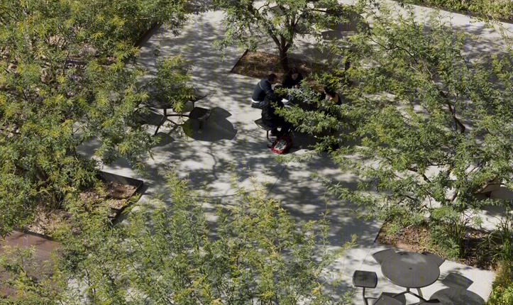 美国 Arizona 大学停车场变绿洲,设计师打造沙漠中的生态景观-17