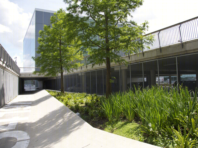 鹿特丹停车场下沉花园(Rotterdam parking lot sunken garden)-10