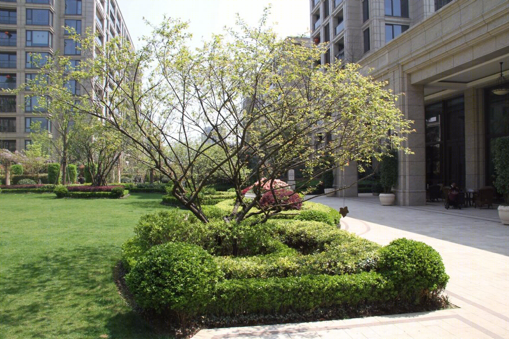 绿城西溪诚园三期守纯苑住宅景观-19