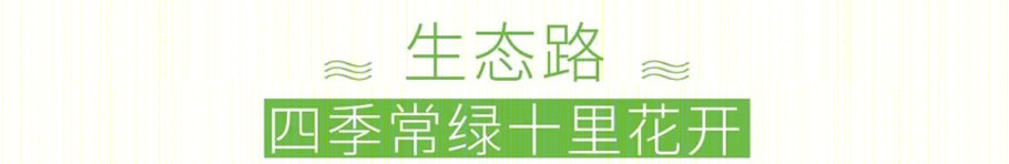 皂幕山通景路-27