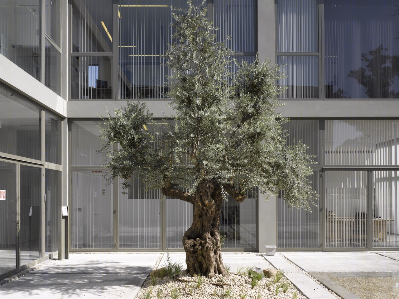 以色列 Shitufim · Zionism2000 园区丨Gottesman-Szmelcman Architecture-56