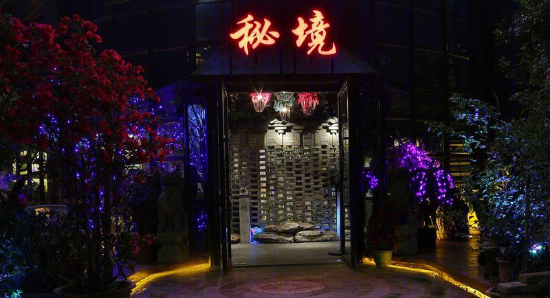 秘境森灵-9