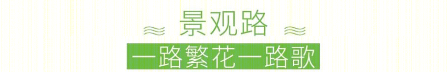 皂幕山通景路-32
