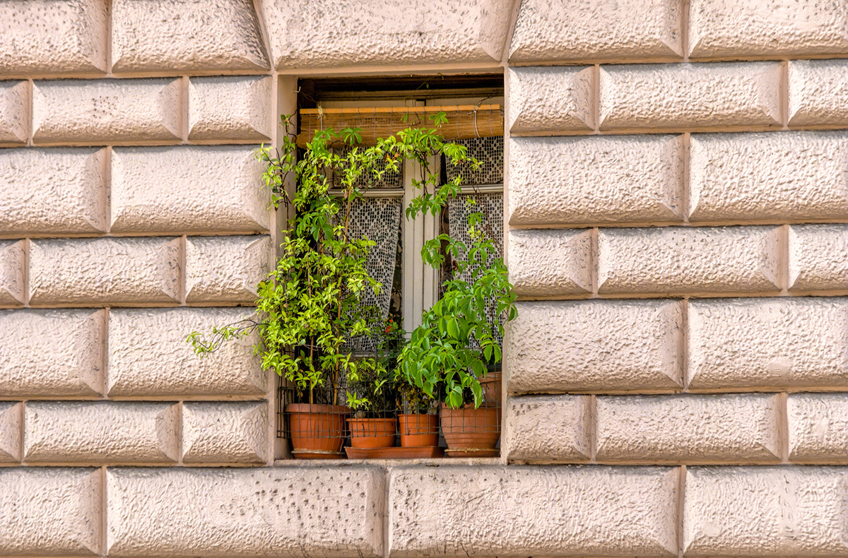 windows and doors-1