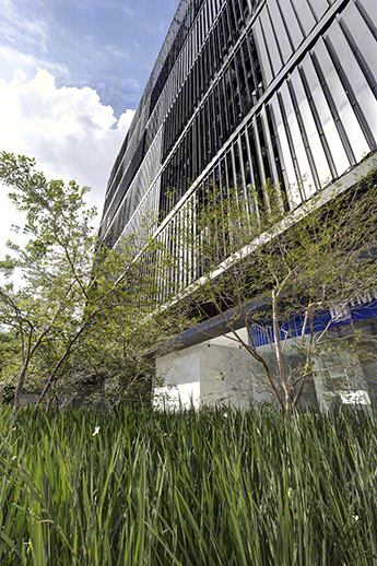 墨西哥 LoMa Chapalita 办公楼丨Elías Rizo Architects-20