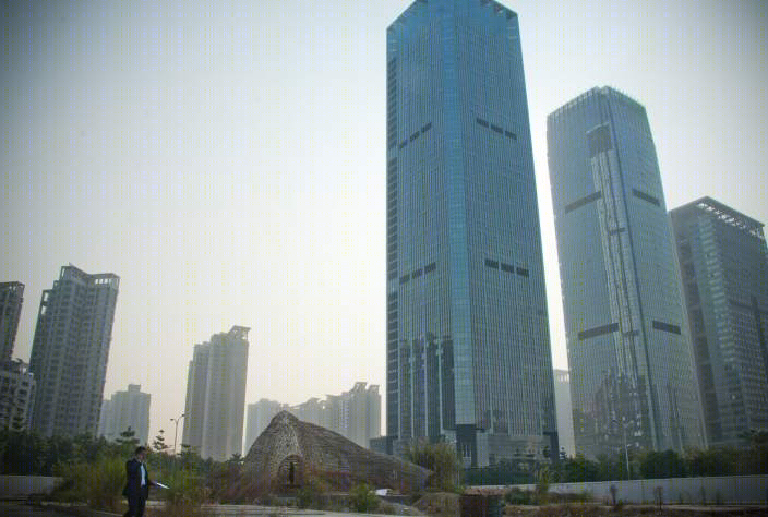 深圳昆虫的竹子景观-9