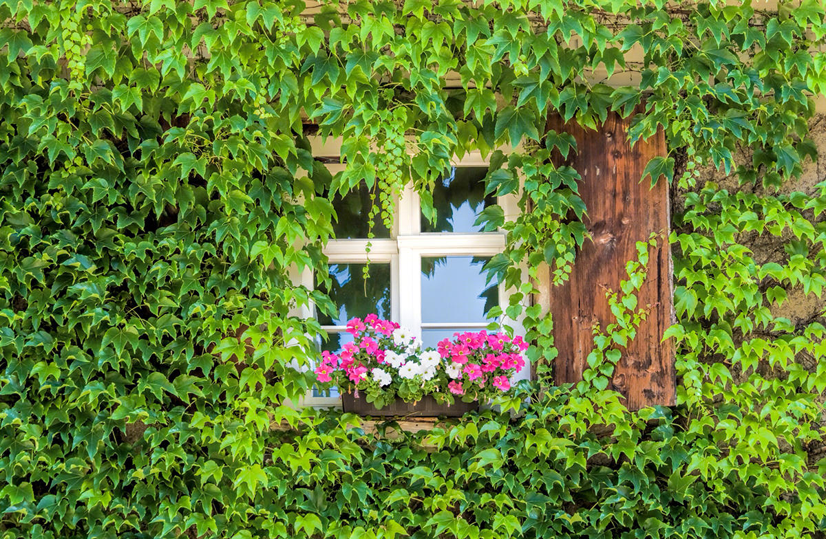 windows and doors-2
