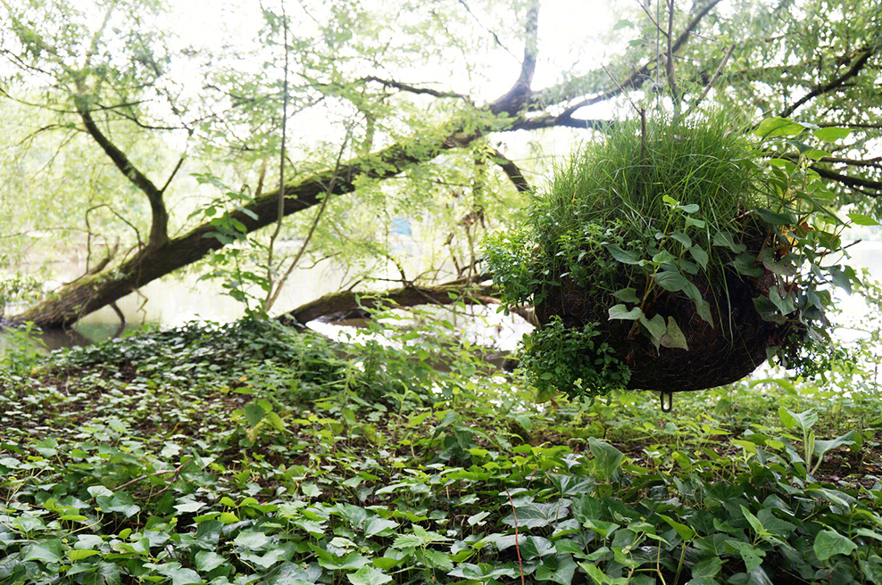 Fragments 植物造景-22