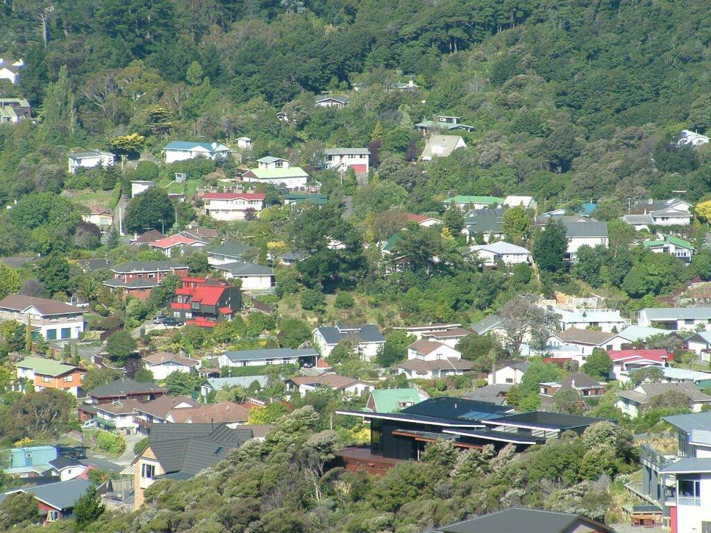 新西兰坡地上的无障碍家园 | 宽敞、舒适、易于使用-45