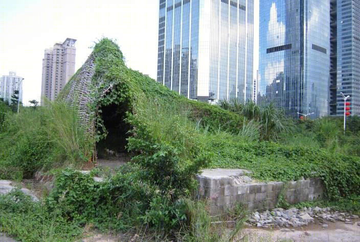 深圳昆虫的竹子景观-10