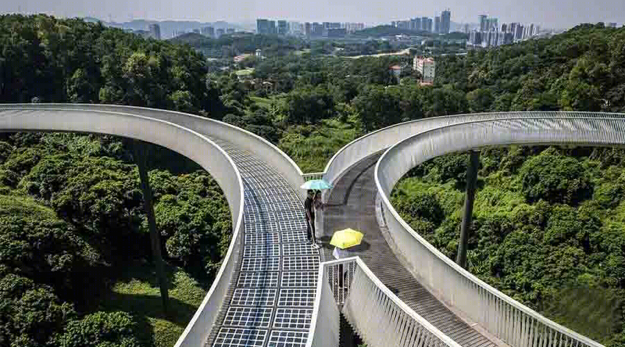 深圳光明小镇三桥与绿道景观-14