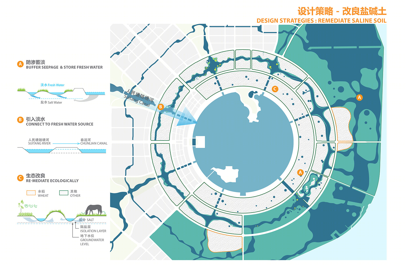 上海临港二环带公园-30