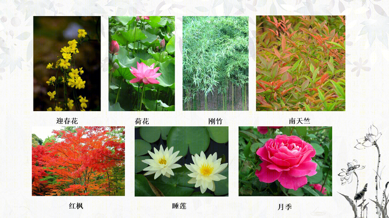 绿地别墅-5