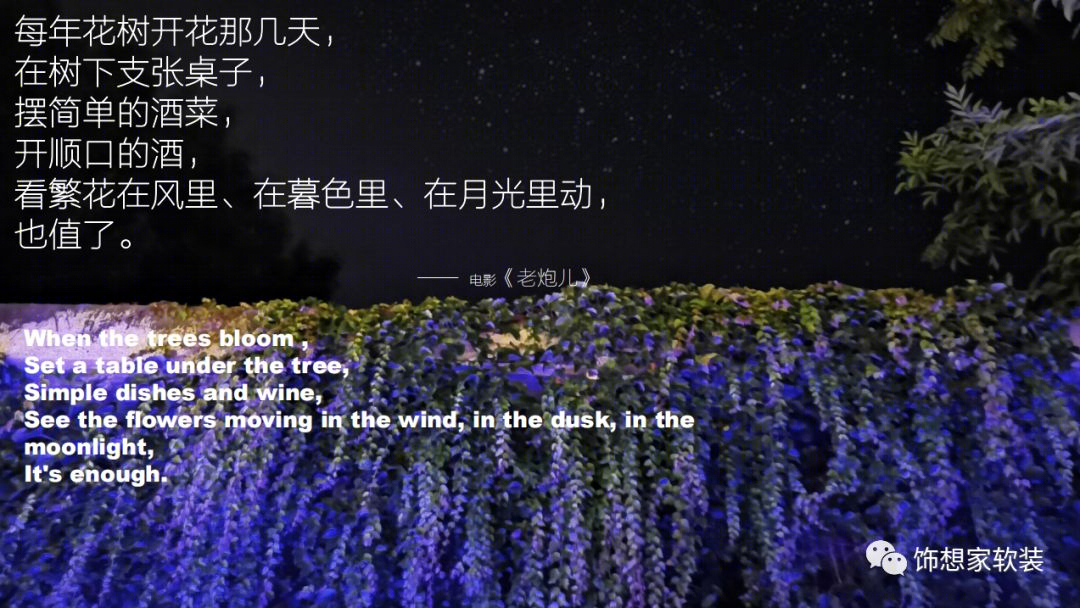 繁花里的角落,寻找心中的宁静-4