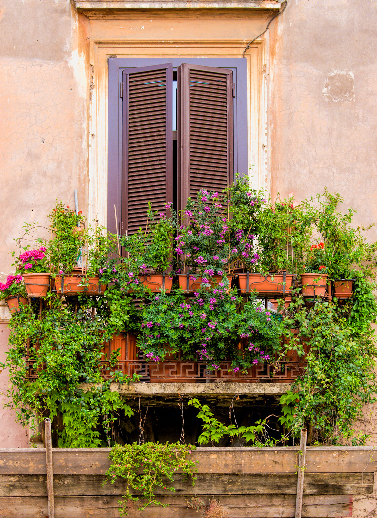 windows and doors-4