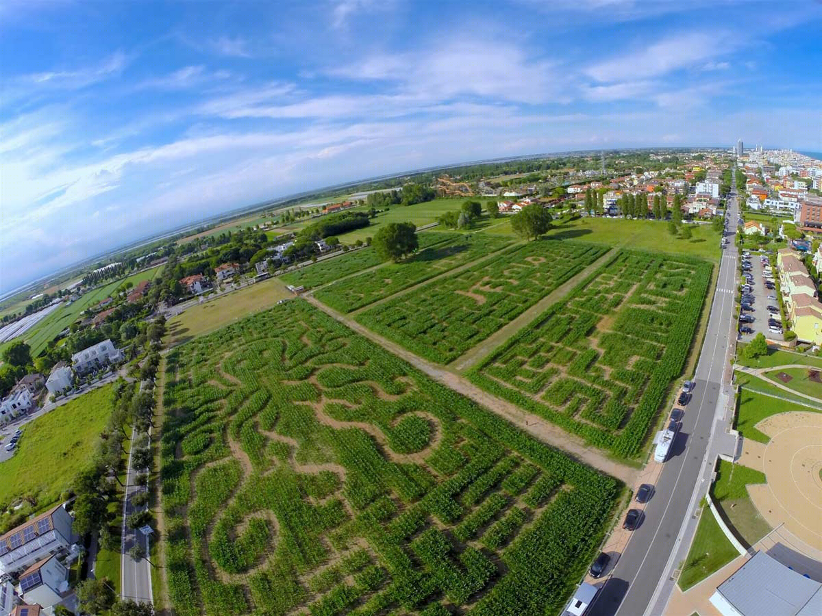 意大利威尼斯玉米田迷宫 (Italy Venice Cornfield Maze)-3