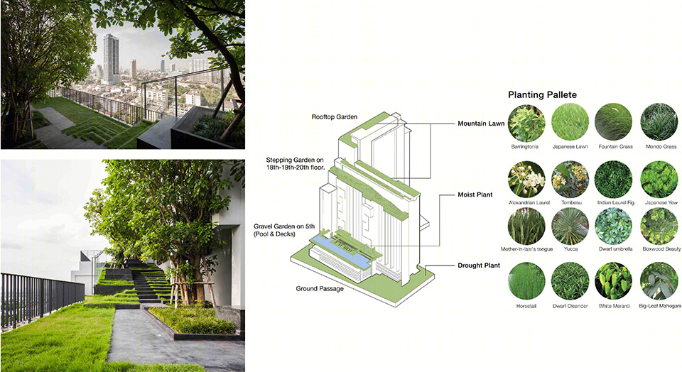 曼谷 Onyx Phaholyothin 项目 | 城市中的宁静绿洲-28