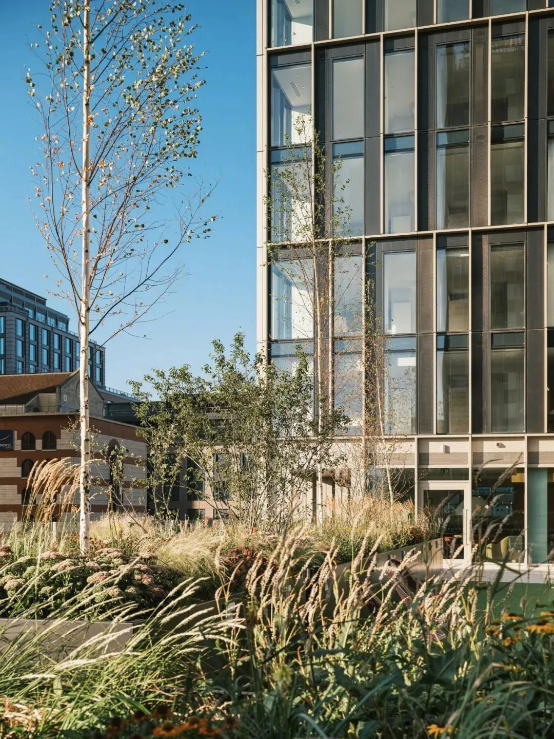 莫达,麦西亚人丨英国伯明翰丨Glenn Howells Architects-12