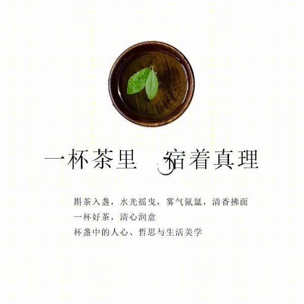 SEPD 新作 | 558m²金裕星河丹堤 岭南美墅,春光佐茶·精雅入画-5