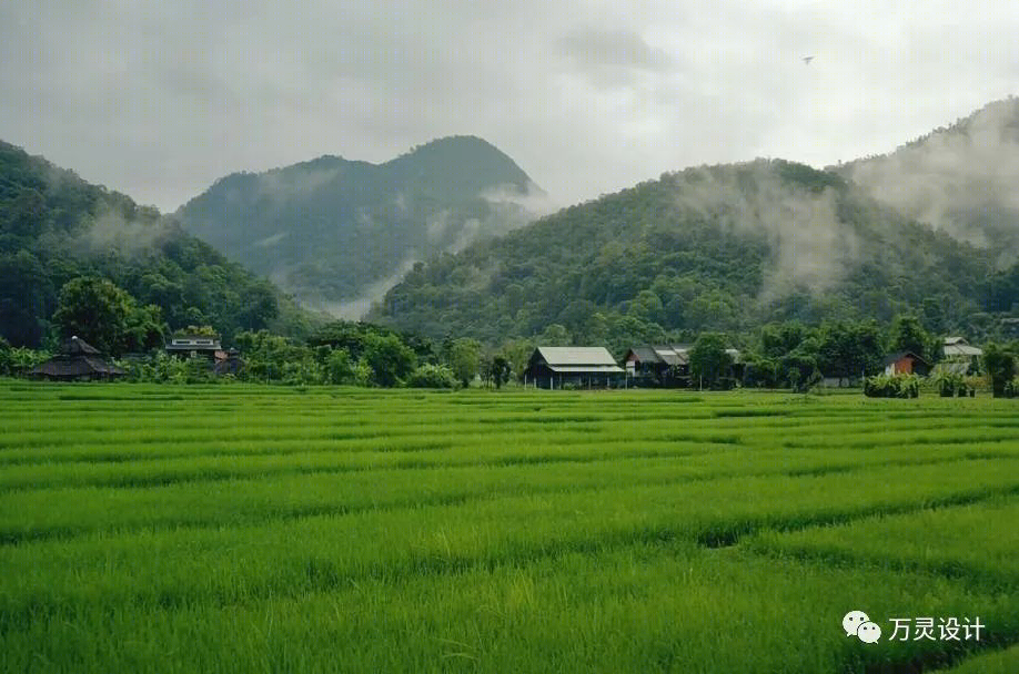 惠明茶工坊丨中国丽水-2